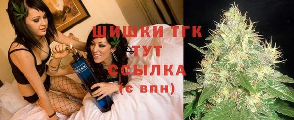 шишки Майский