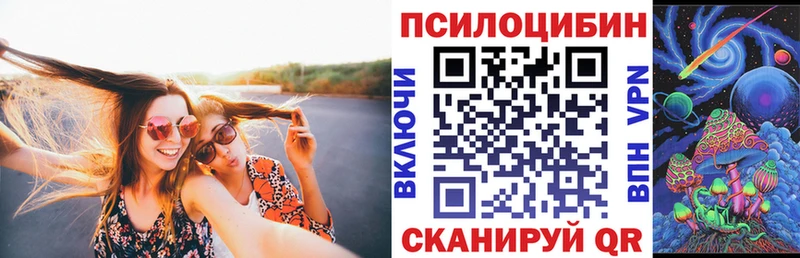 Псилоцибиновые грибы Cubensis  Очёр 